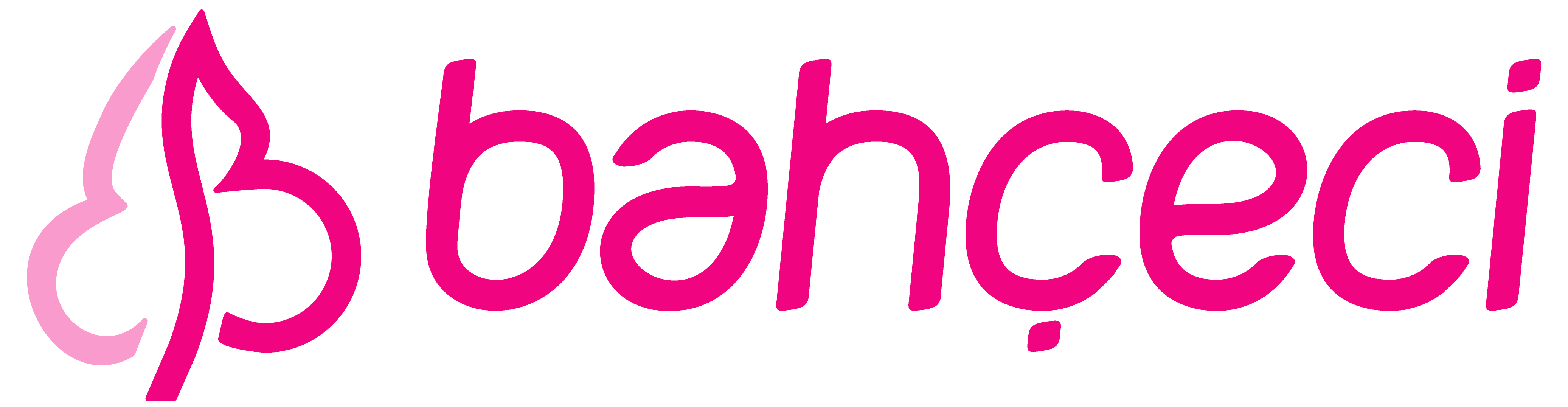courses