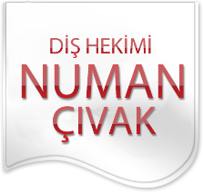 courses
