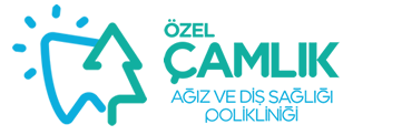 courses