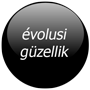 courses