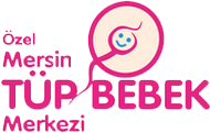courses
