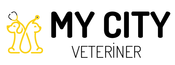 courses