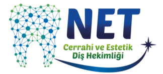 courses