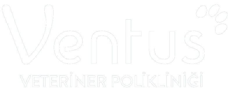 courses