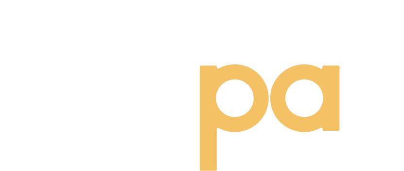 courses